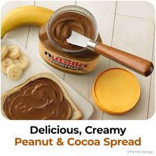 NUTELLA CREMA NUTELLA Y CACAHUETE 371g